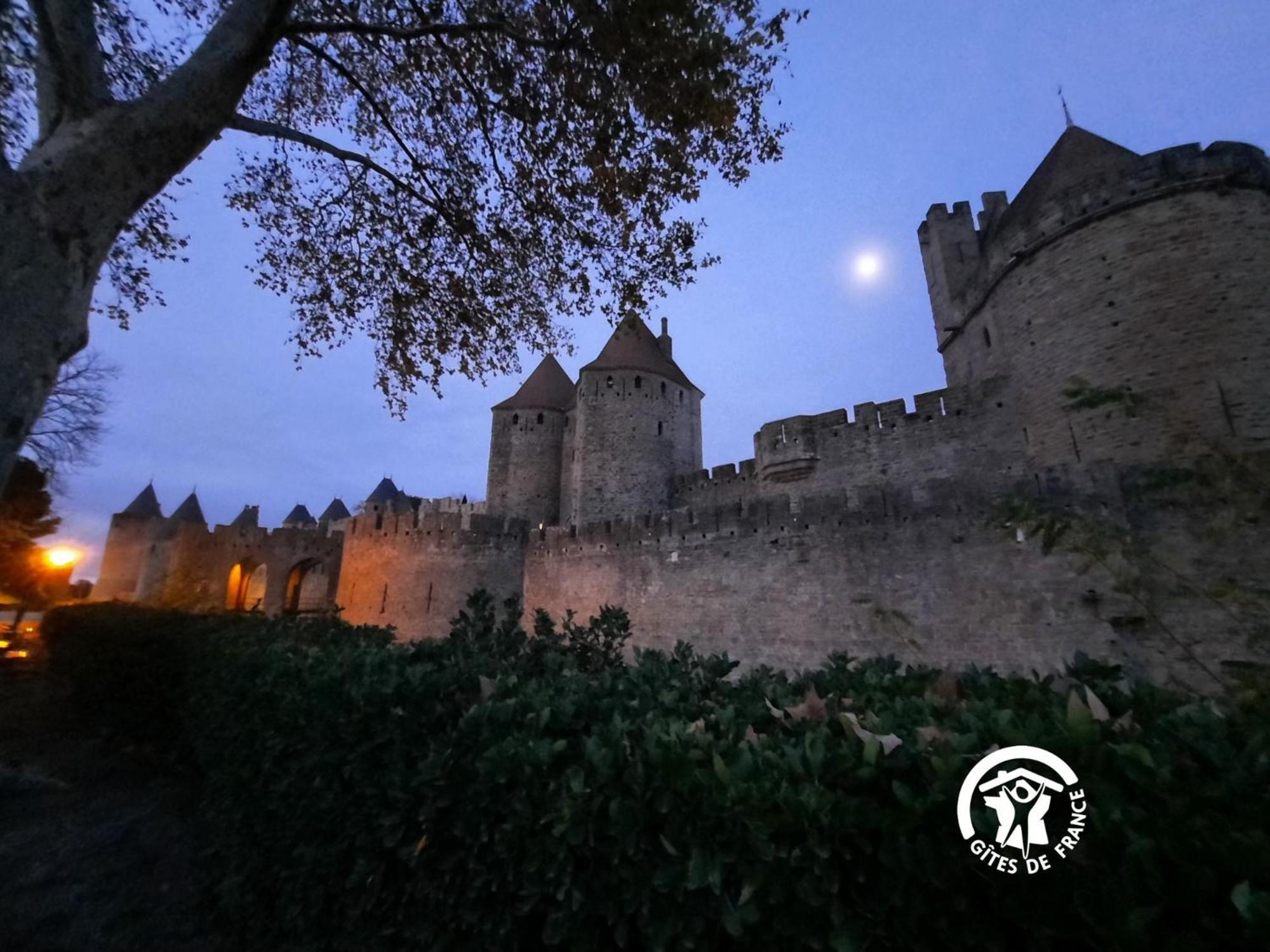 Loft Cocon Climatise - Imprenable Vue Sur Le Chateau Comtal 卡尔卡松 外观 照片
